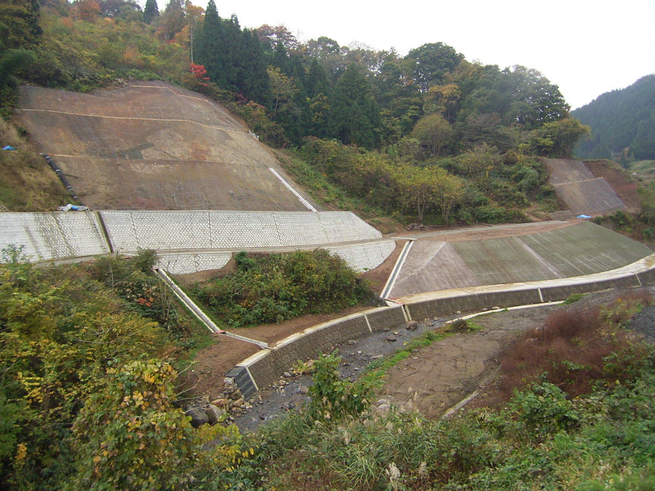 能登　寺西建設　森林土木工事